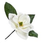 Magnolia Head White Deluxe w/Stem