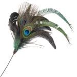 Spray Feather Peacock