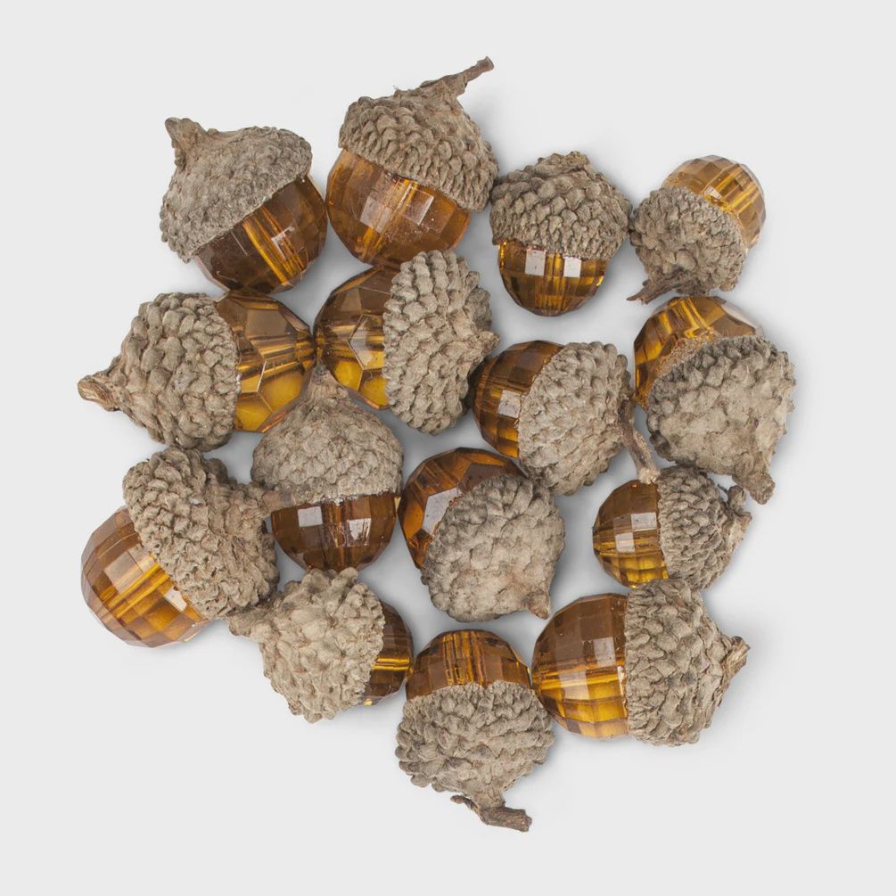 Amber Gem Acorn Pack