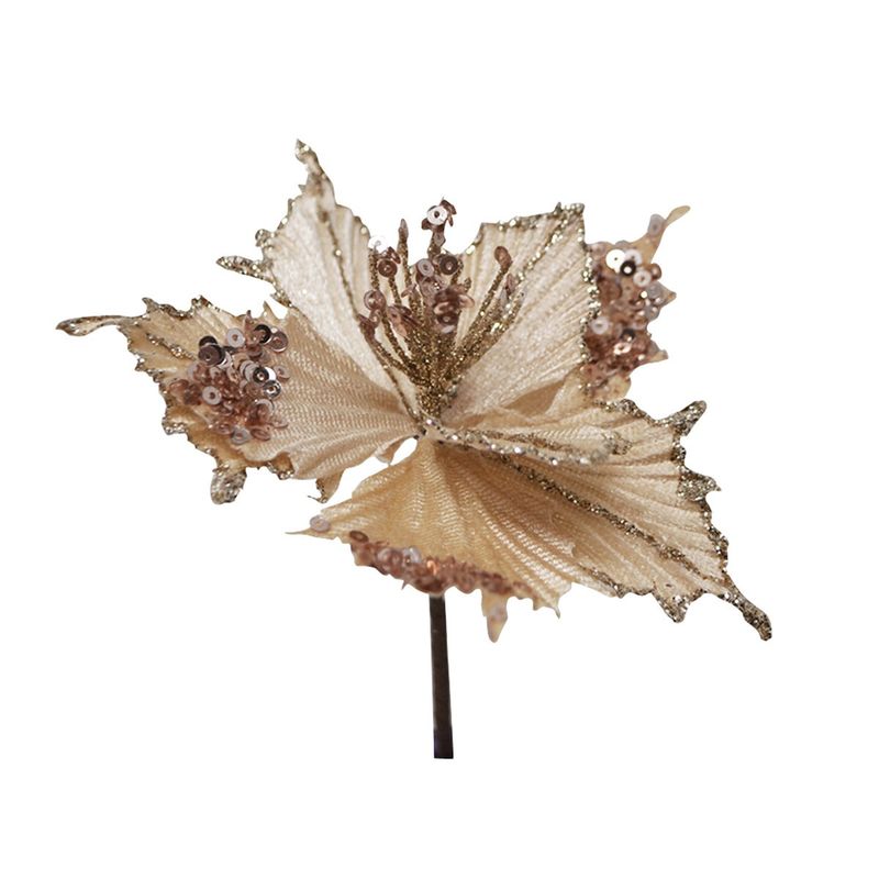 Mini Champagne Poinsettia