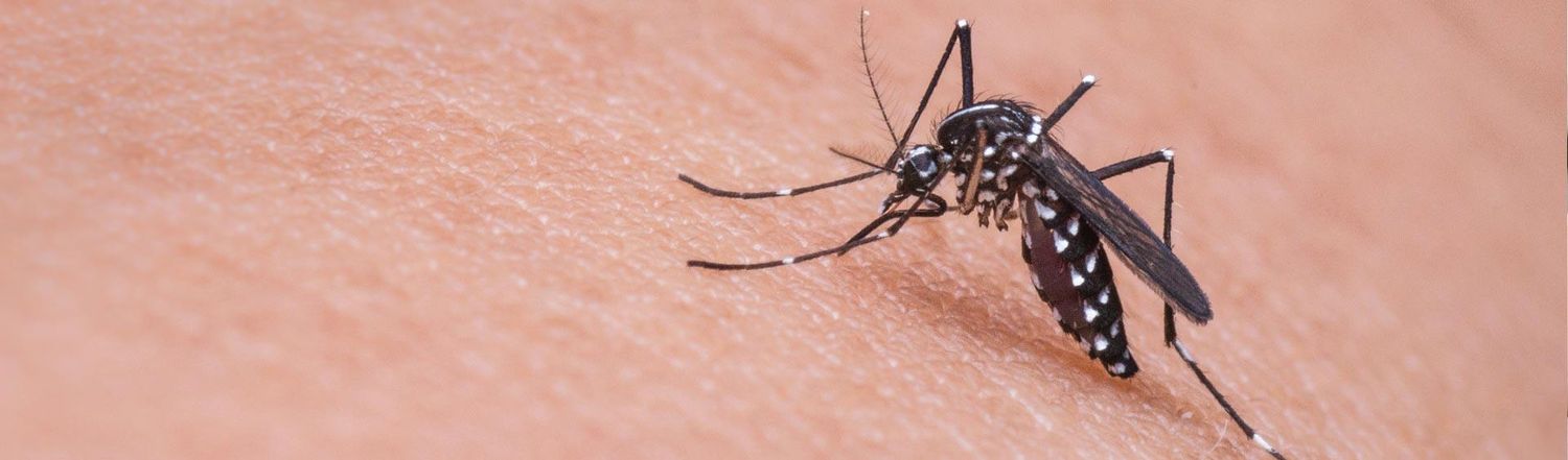 SEROLOGÍA VIRUS ZIKA