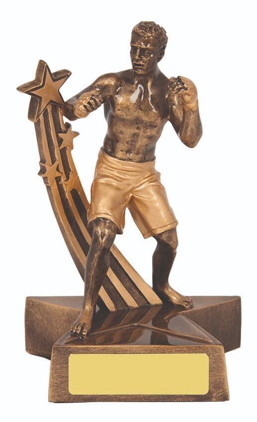Kick Boxing Trophy LIMITED STOCK