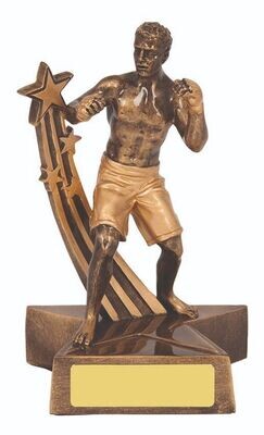 Kick Boxing Dynamite Series Trophy