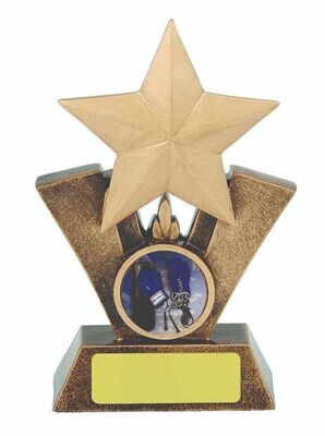 Boxing Rising Star Trophy - 3 sizes