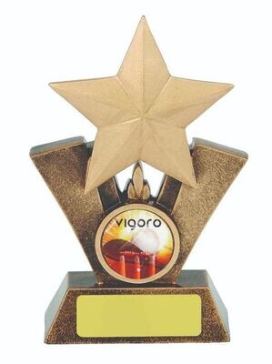 Vigoro Rising Star Trophy - 3 sizes