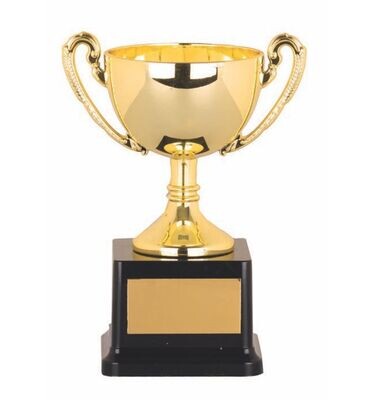 Gold Bowl Cup - 2 sizes