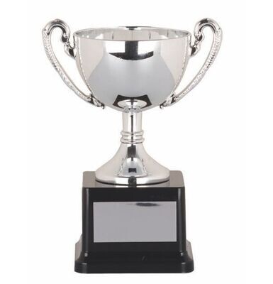 Silver Bowl Cup - 2 sizes