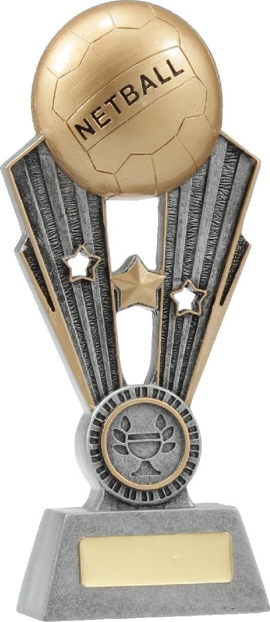 Netball Fame Series Trophy