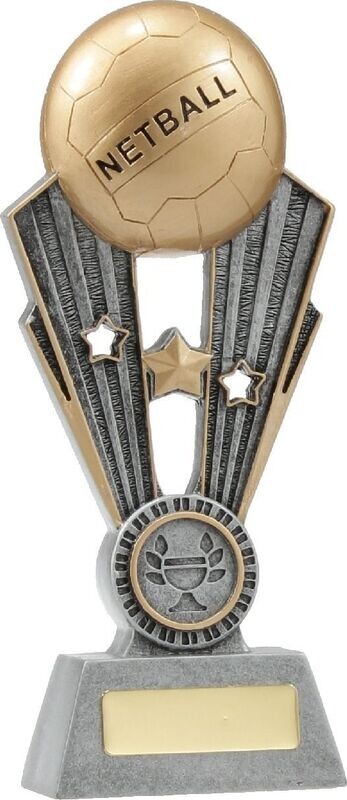 Netball Fame Series Trophy