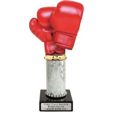 Acrylic Boxing on Column
