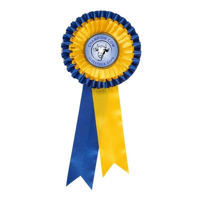 2 Tier Rosettes Blue Yellow