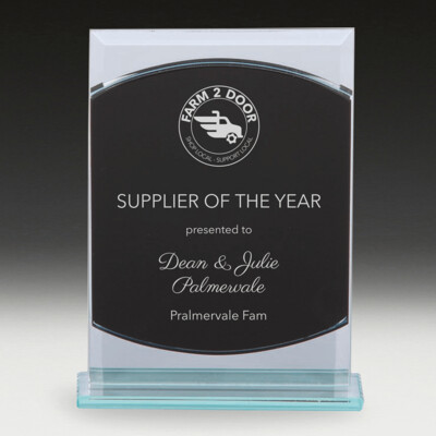 Black Mirror Corporate Award
