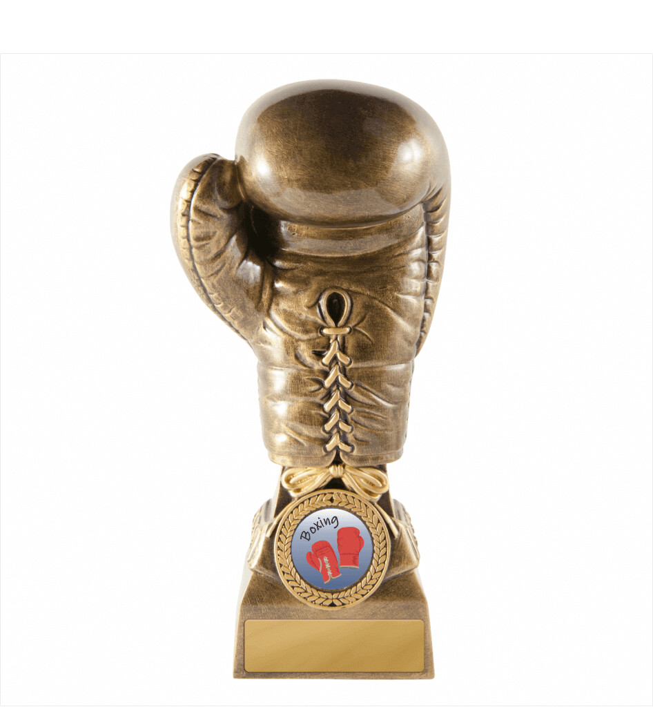 Boxing Golden Glove