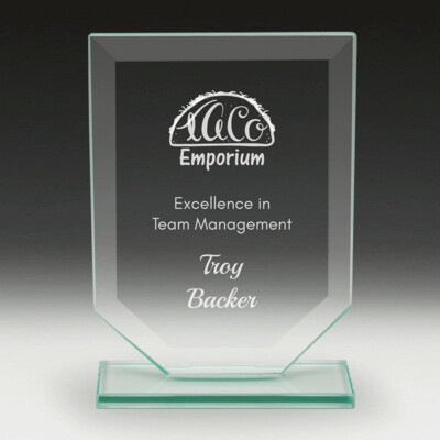 Budget Shield Glass Award