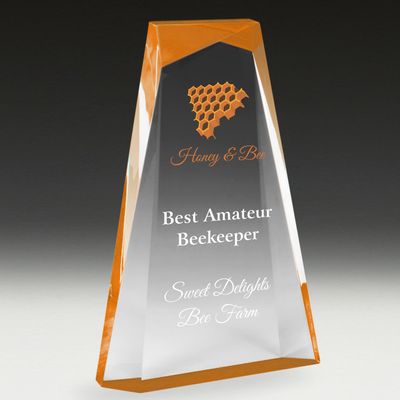 Reflections Series Acrylic Award - Orange Reflections Series Acrylic Award - Orange
