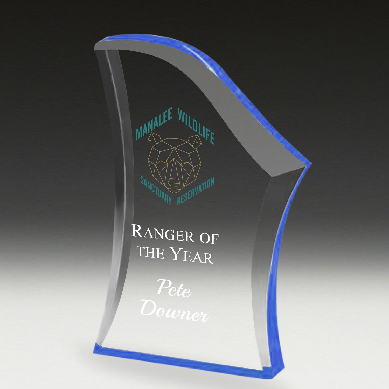Buy Corporate Awards in Townsville NQ Plaques & Trophies