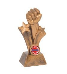 Martial Arts Trophies