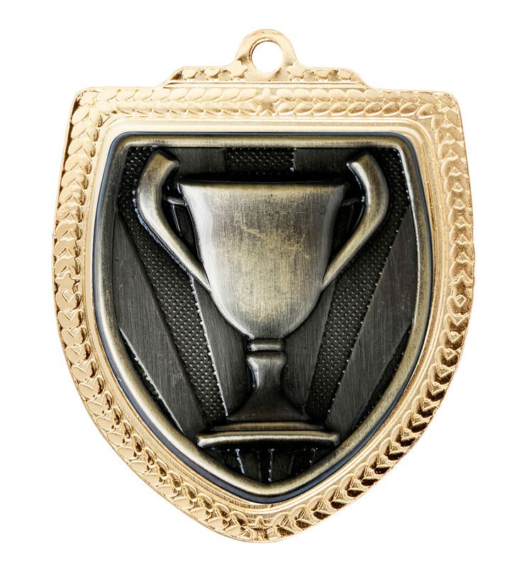 Shield Medal - Achievement