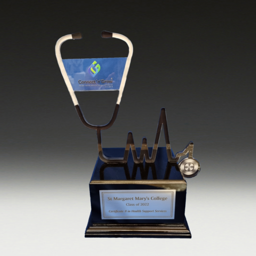 Acrylic Stethoscope on Timber Base