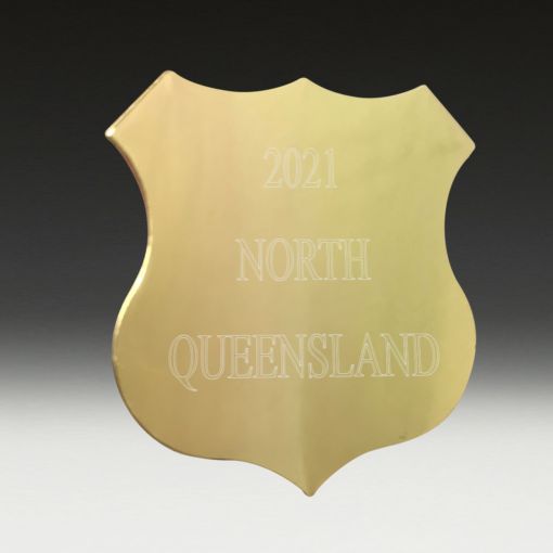 S9 Shield - 38mm(w) x 40mm(h)