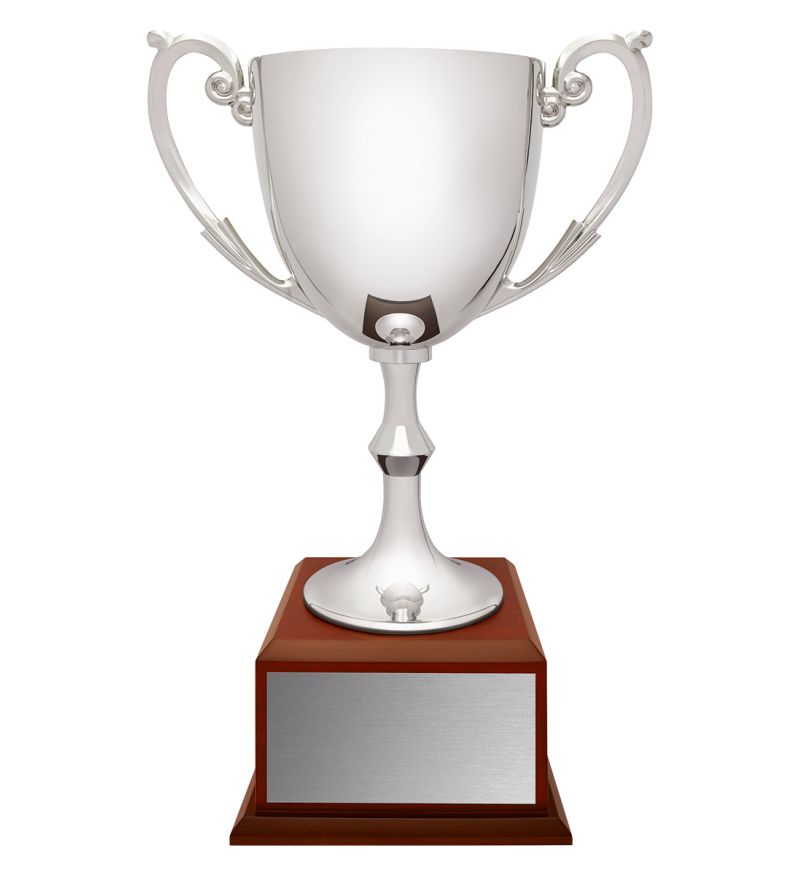 Recognition Cup - Timber Base