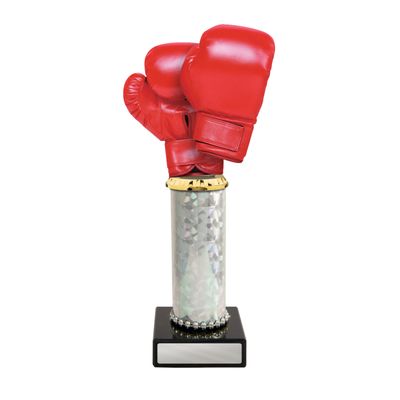 Boxing Gloves - Acrylic