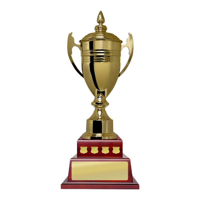 Gold Metal Cup with Lid Perpetual
