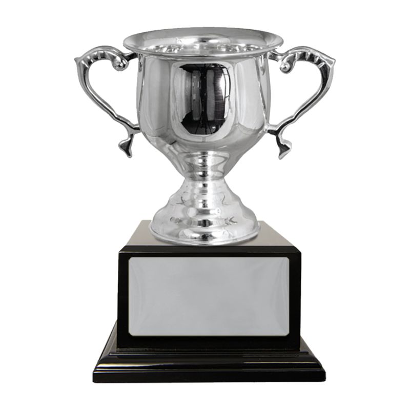Silver Plated Cup - SPBC