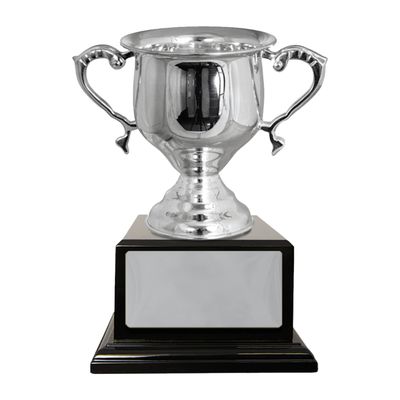 Silver Plated Cup