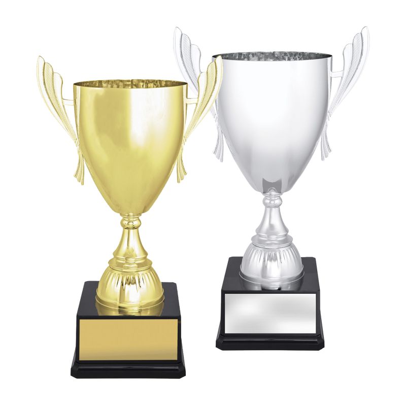 Ironside Cup