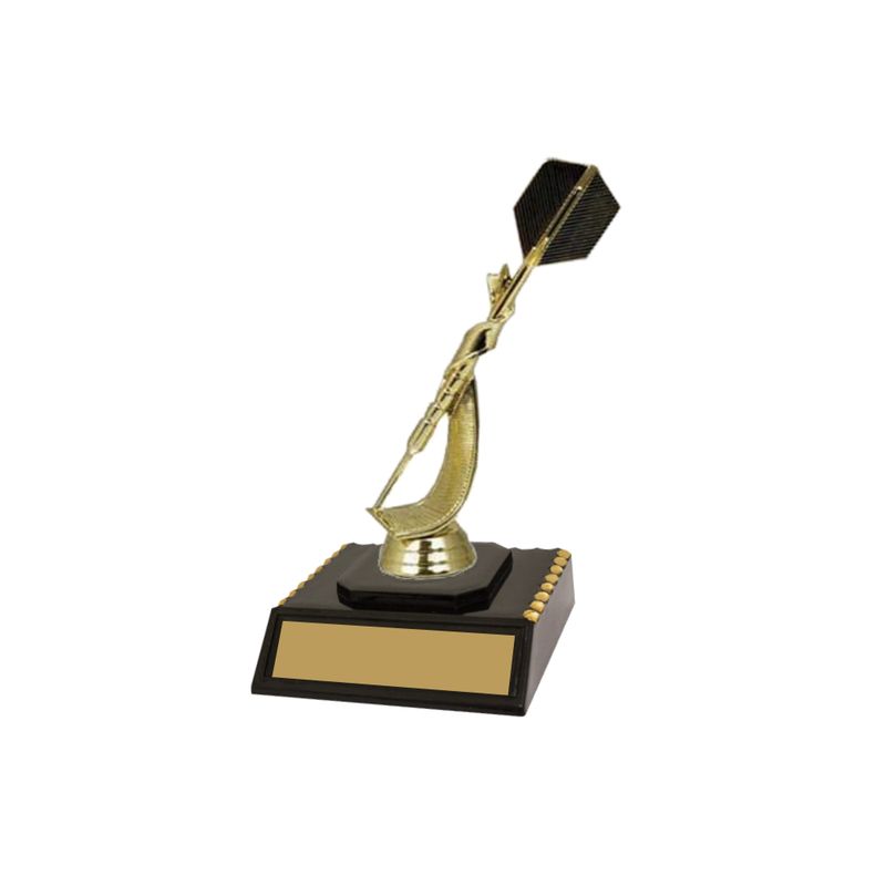 Darts Trophy
