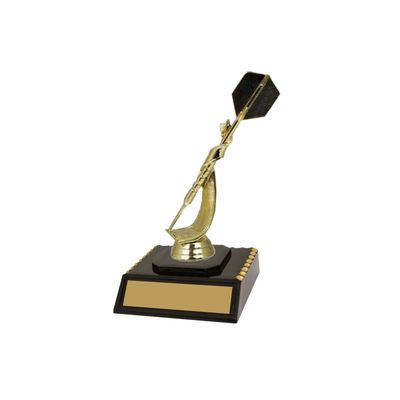 Darts Trophy