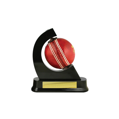 Cricket Ball Holder - Timber