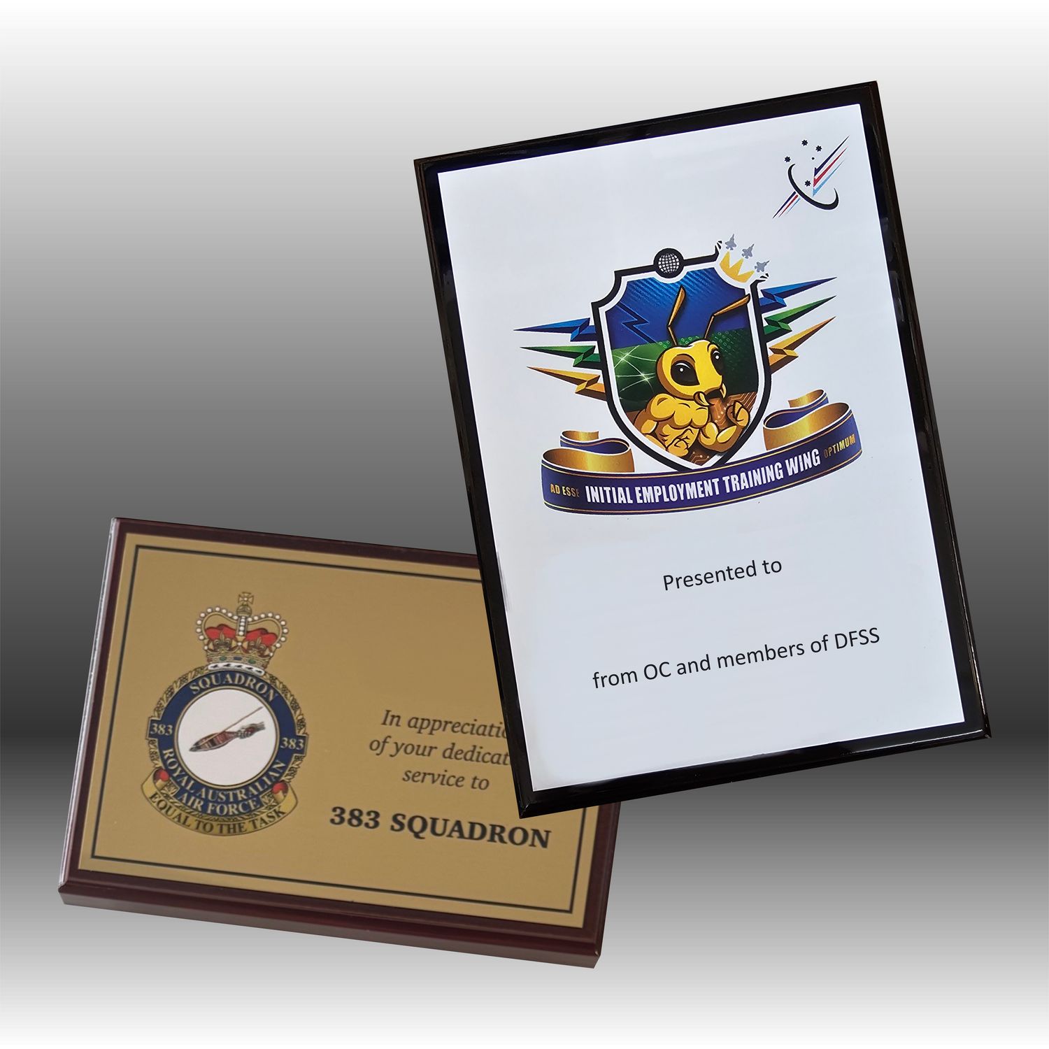 Custom UV Printed Military Plaque - 175mm
