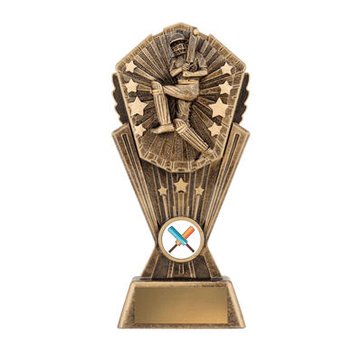 Cosmos Cricket M Batsman