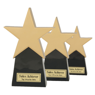 Corporate Achievement Gold Star
