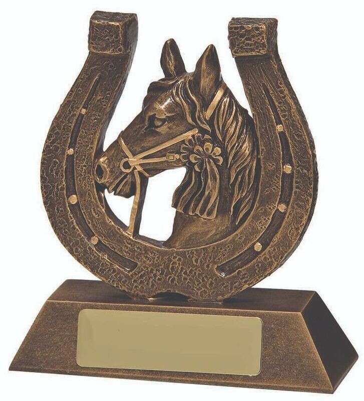 Golden Horse Shoe Trophy - LIMITED STOCK AVAILABLE Golden Horse Shoe Trophy - LIMITED STOCK AVAILABLE