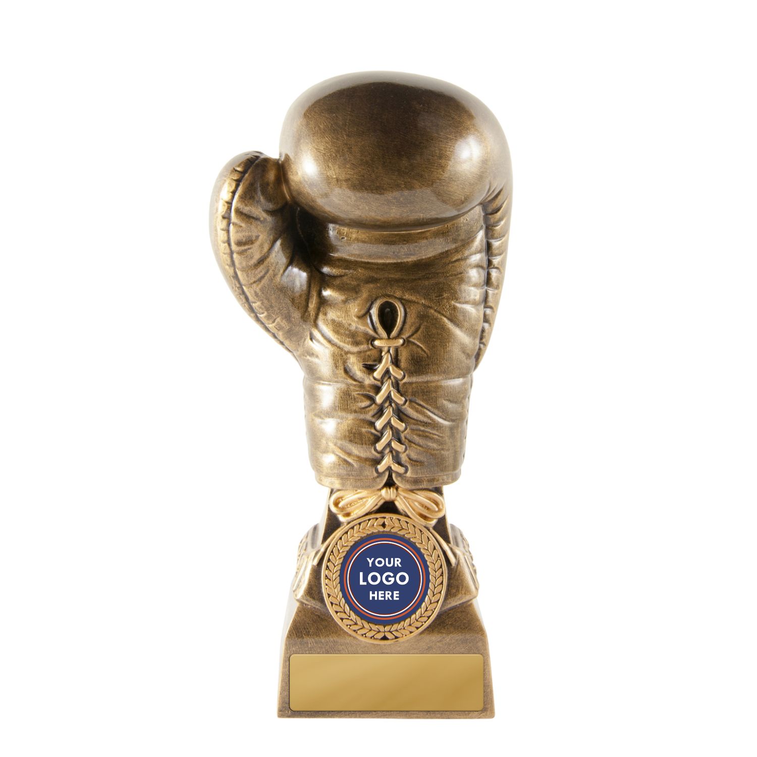 Golden Glove Boxing Golden Glove Boxing