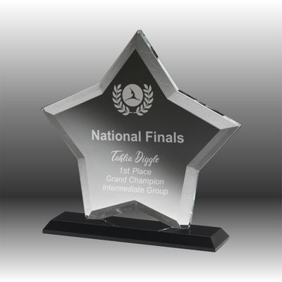 Crystal Black Ice Award Crystal Black Ice Award