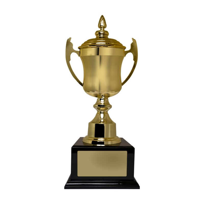 Umbria Gold Metal Cup