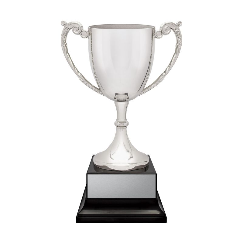 Provenance Silver Cup - SCV