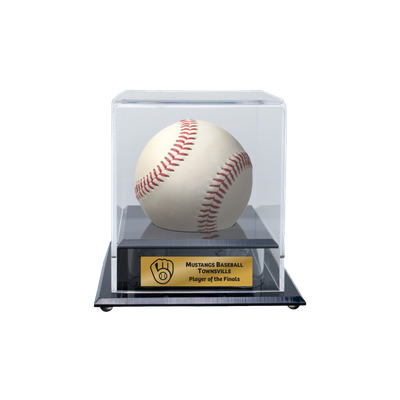 Acrylic Baseball Display Case Acrylic Baseball Display Case