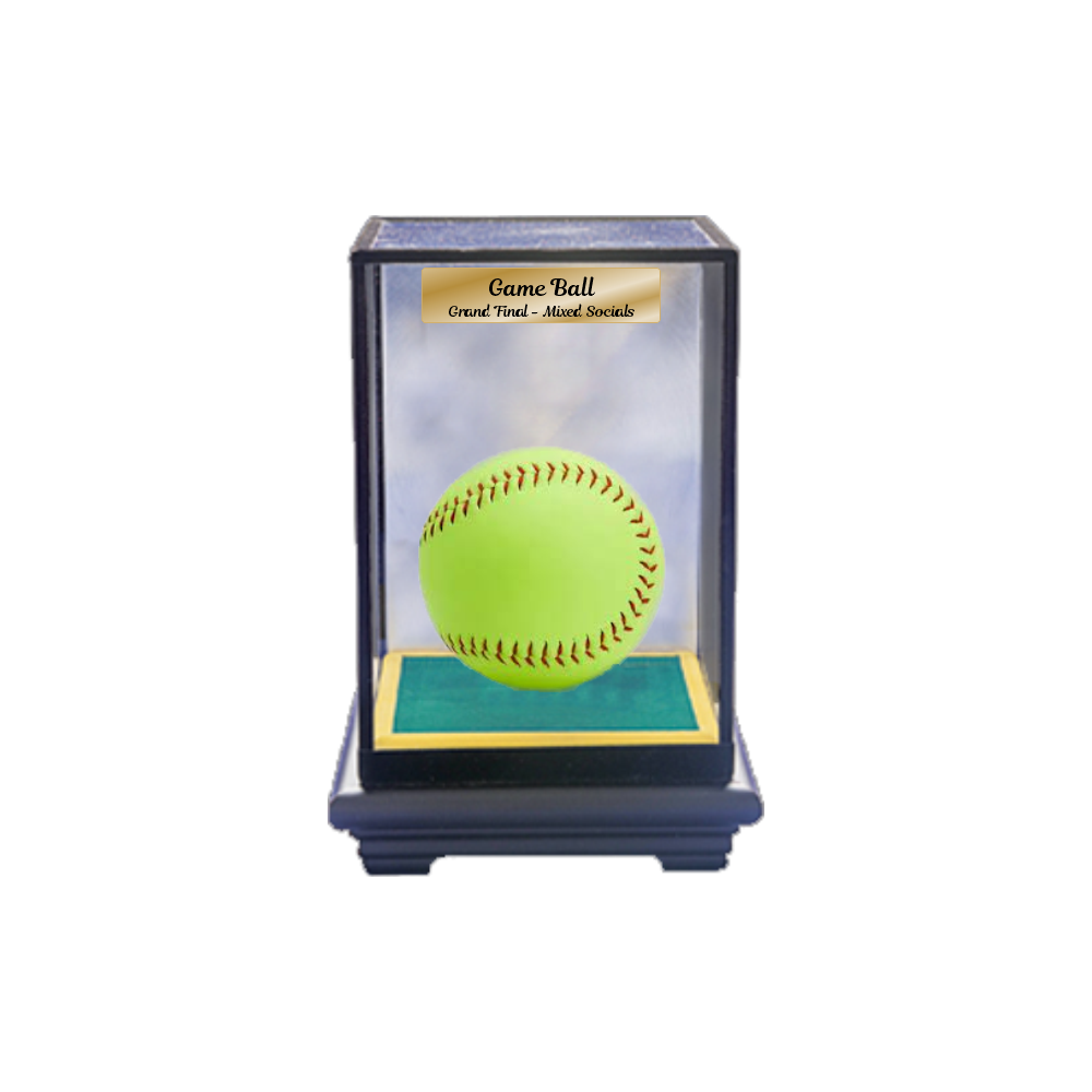 Softball Display Case Softball Display Case