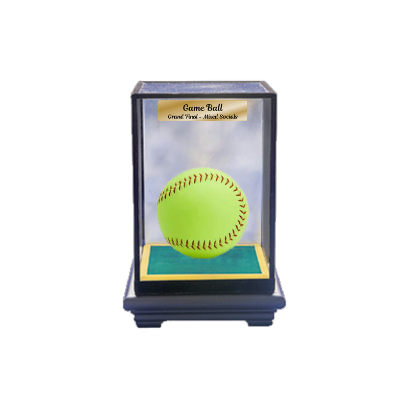 Softball Display Case Softball Display Case