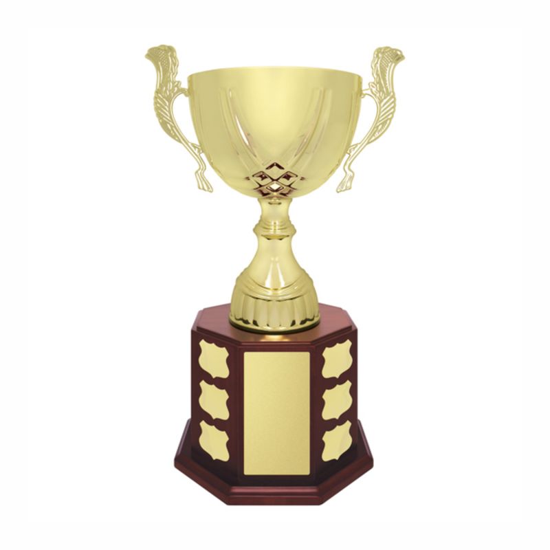 Ensign Cup Perpetual Ensign Cup Perpetual