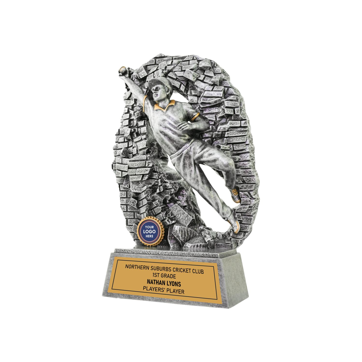 Crash Through Cricket Fielder