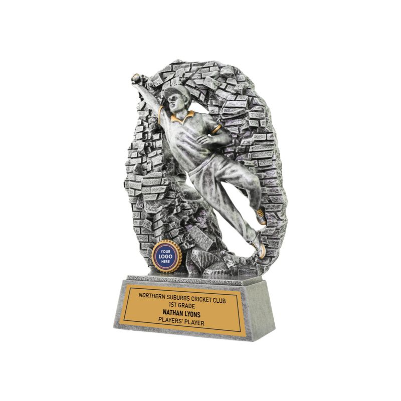 Crash Through Cricket Fielder