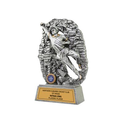 Crash Through Cricket Fielder Crash Through Cricket Fielder