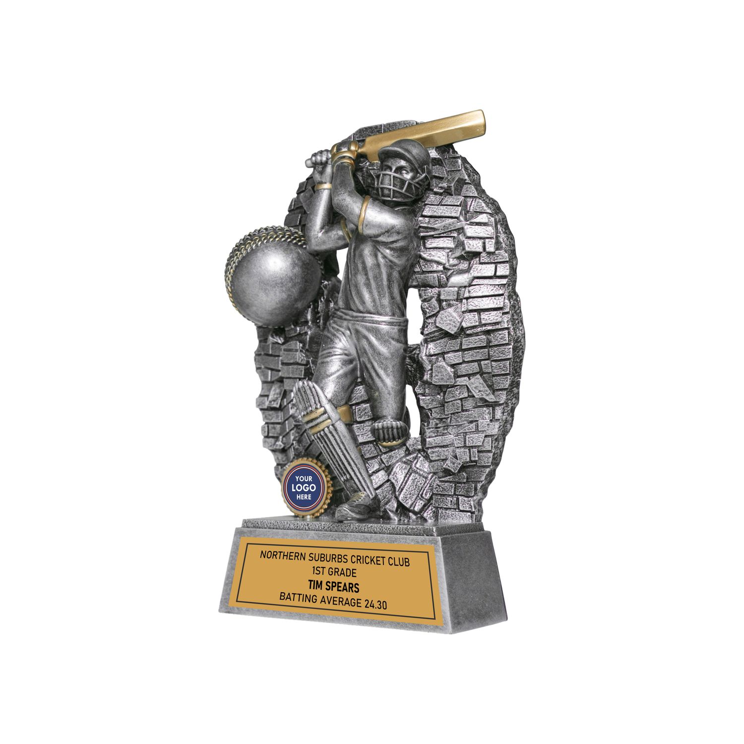 Crash Through Cricket Batter