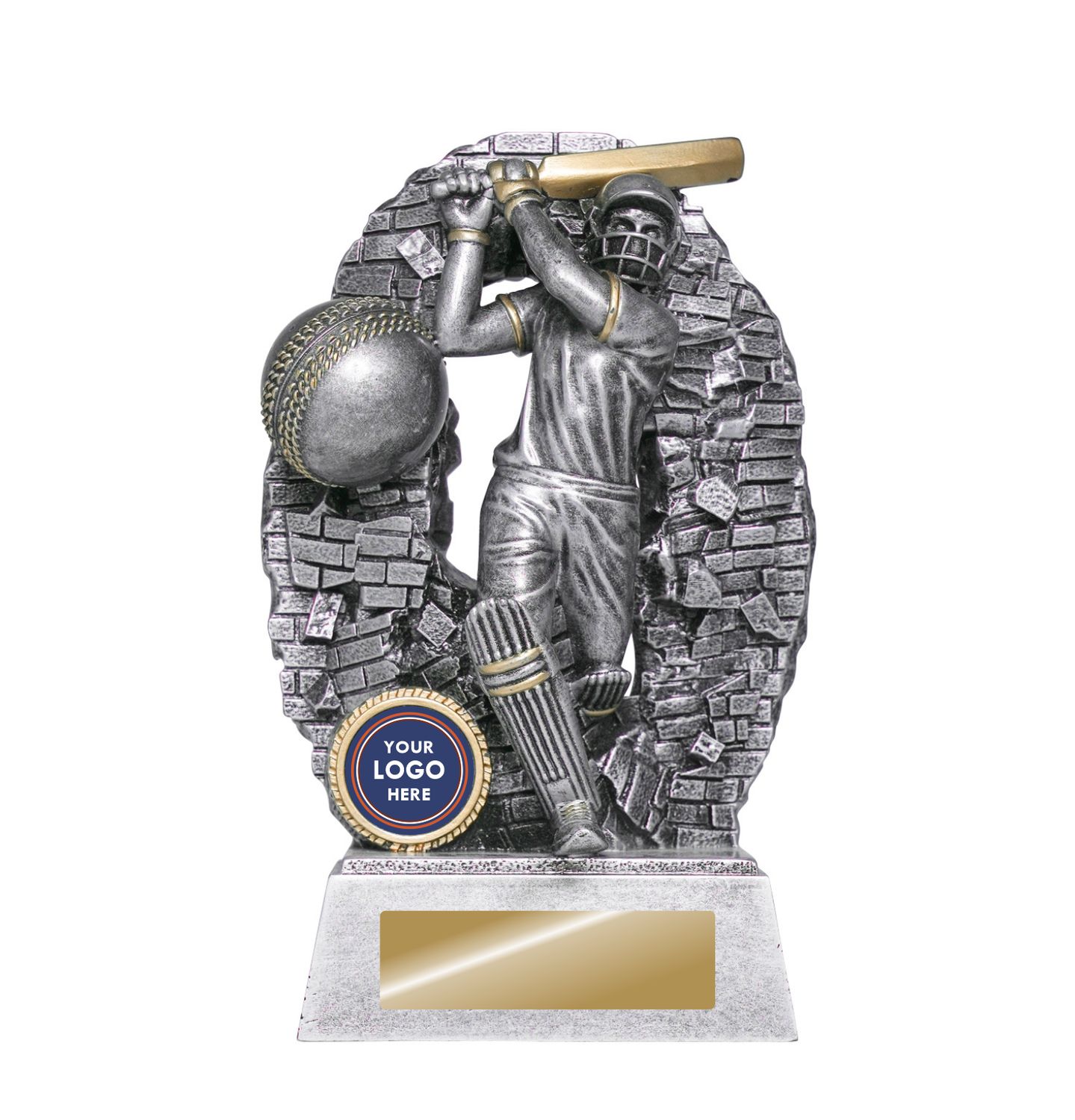 Crash Through Cricket Batter